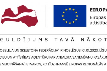 Lejupielādes